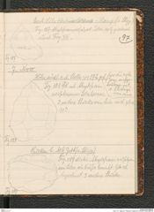 Seite 101, Tagebuch "Palästina (Tagebuch)" (NHMW-PRAE-BBB-80)